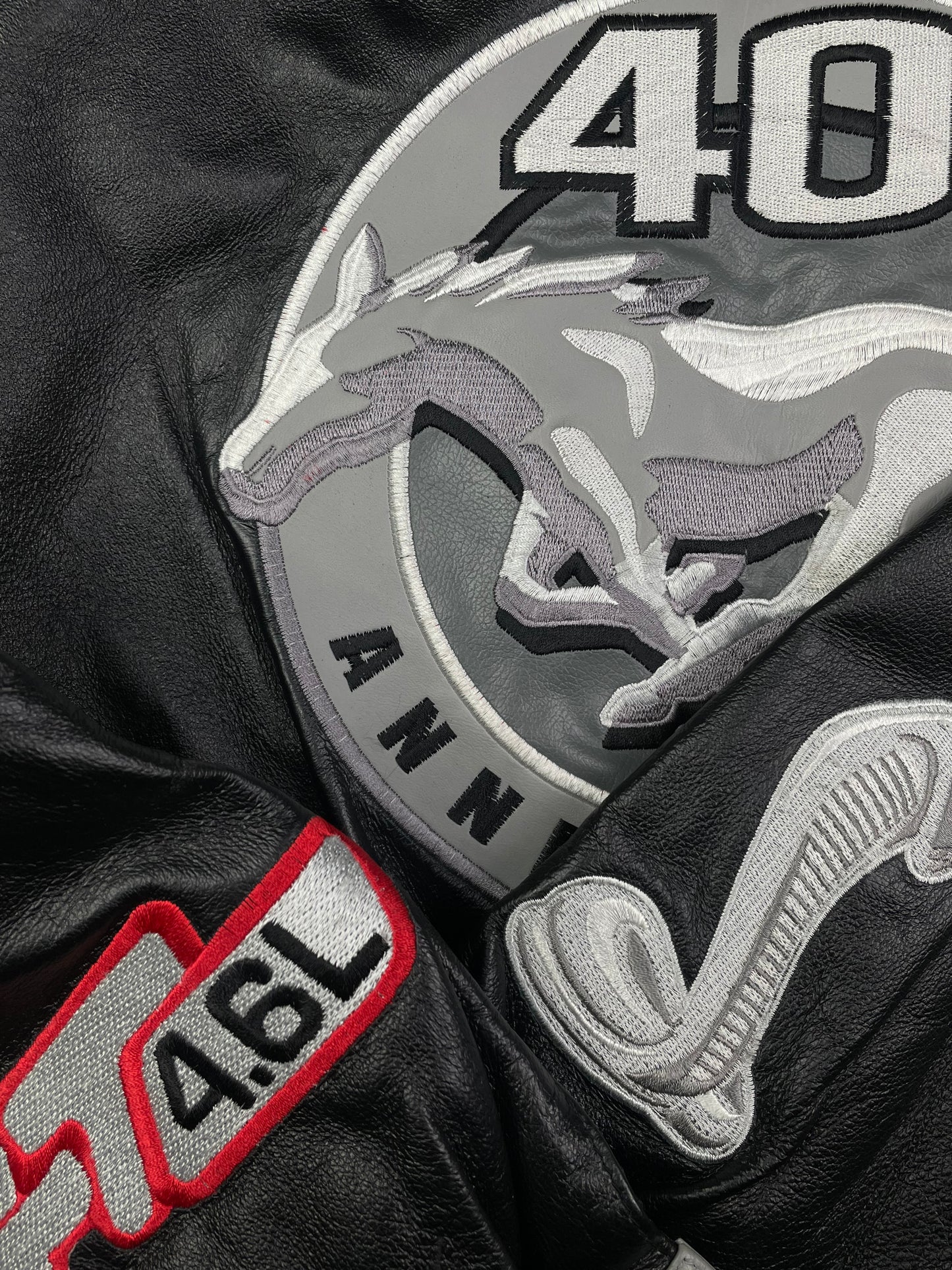 2004 JH Design Mustang 40th anniversary Leather